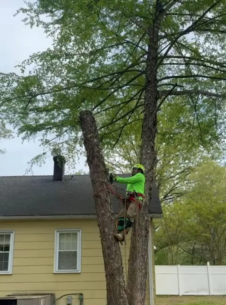 Expert garden landscaping in Blackstone, VA by Gato Tree Services