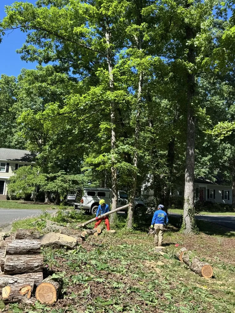 Reliable outdoor landscaping for homes across Blackstone, VA - Gato Tree Services