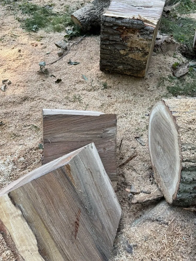 Reliable outdoor landscaping for homes in Blackstone, VA by Gato Tree Services