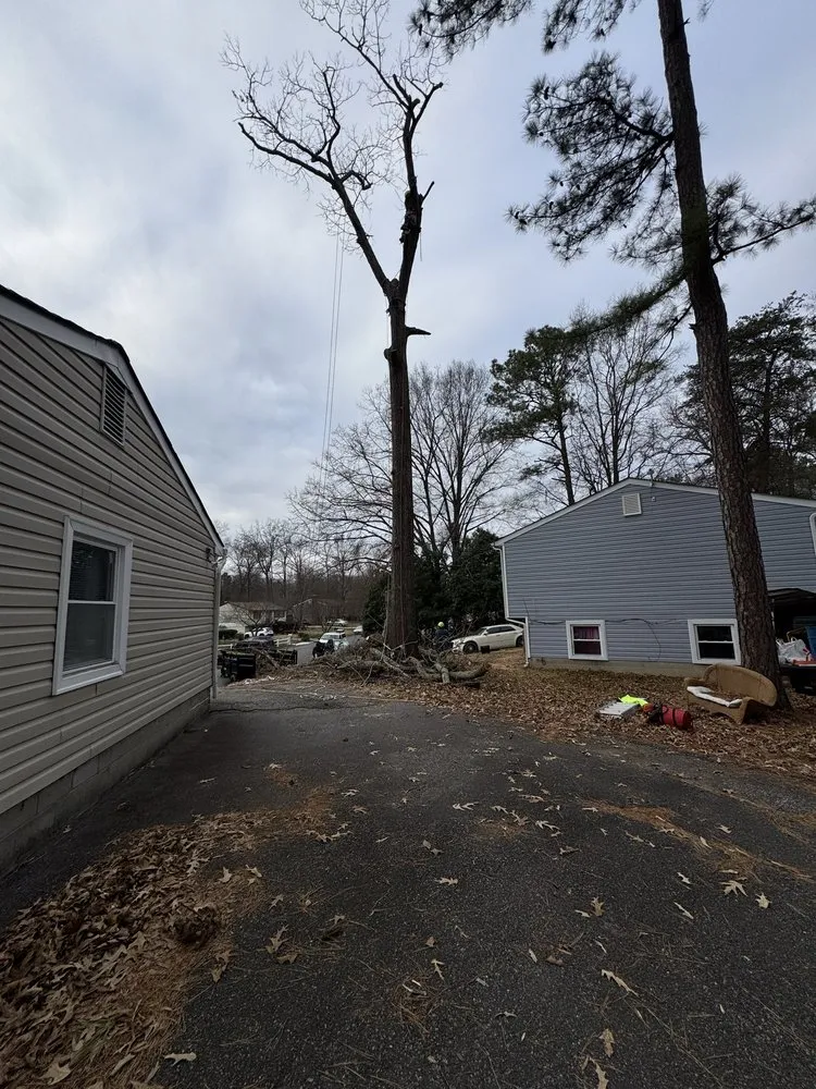 Professional outdoor landscaping for year-round maintenance in Blackstone, VA by Gato Tree Services