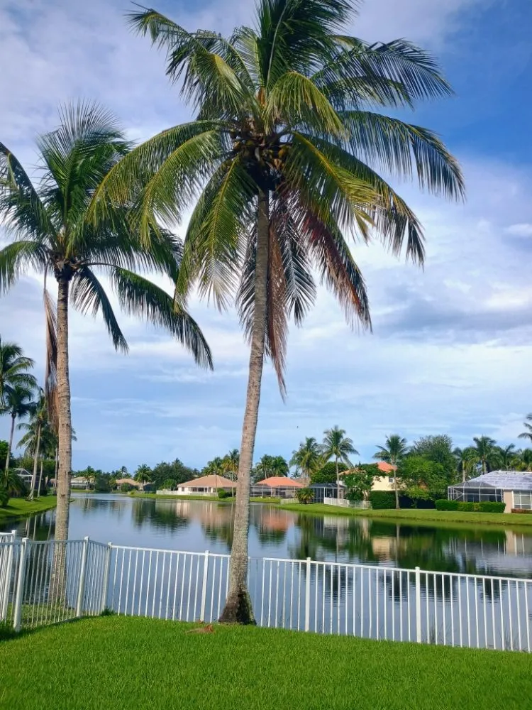 Trusted outdoor landscaping for residential properties in Cape Coral, FL by Gator Done Lawn & Power-Washing