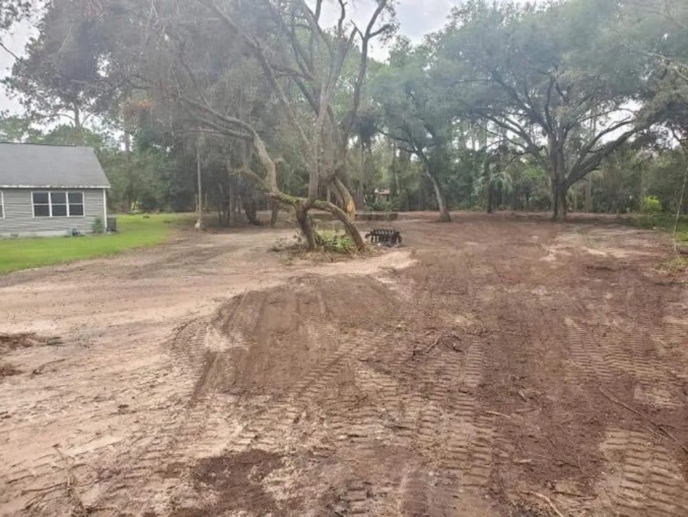 Expert yard cleanup service for beautiful yards across Cape Coral, FL - Gator Elite Services