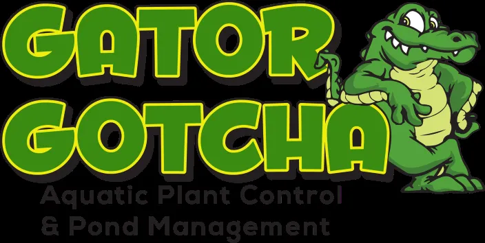 Professional landscape design in DeFuniak Springs, FL - Gator Gotcha Aquatic Plant Control and Pond Management