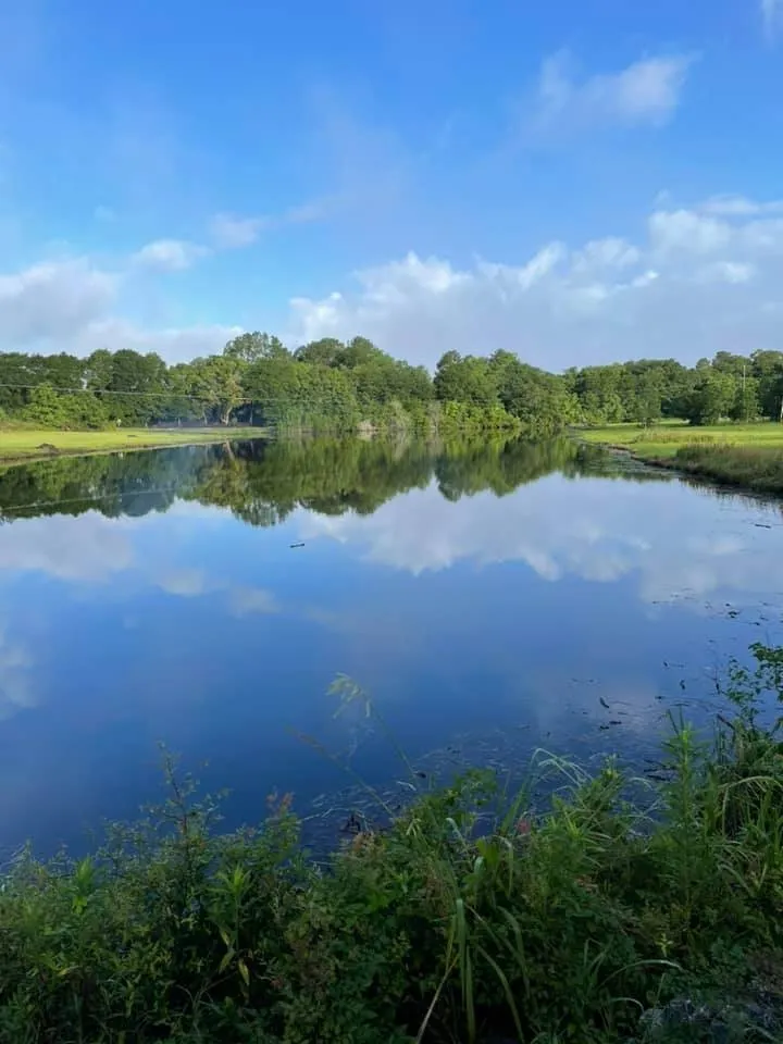 Local residential landscaping for homes across DeFuniak Springs, FL - Gator Gotcha Aquatic Plant Control and Pond Management