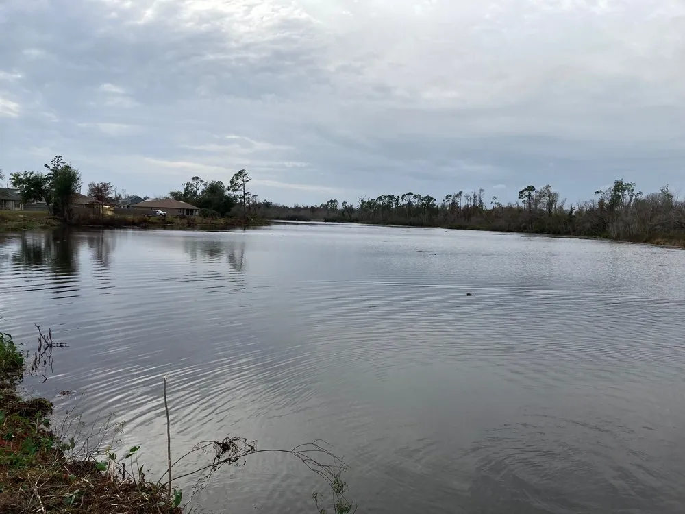 Top-rated yard cleanup service in DeFuniak Springs, FL by Gator Gotcha Aquatic Plant Control and Pond Management
