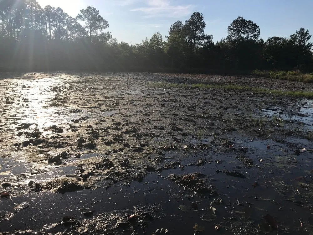 Expert landscape installation in DeFuniak Springs, FL - Gator Gotcha Aquatic Plant Control and Pond Management