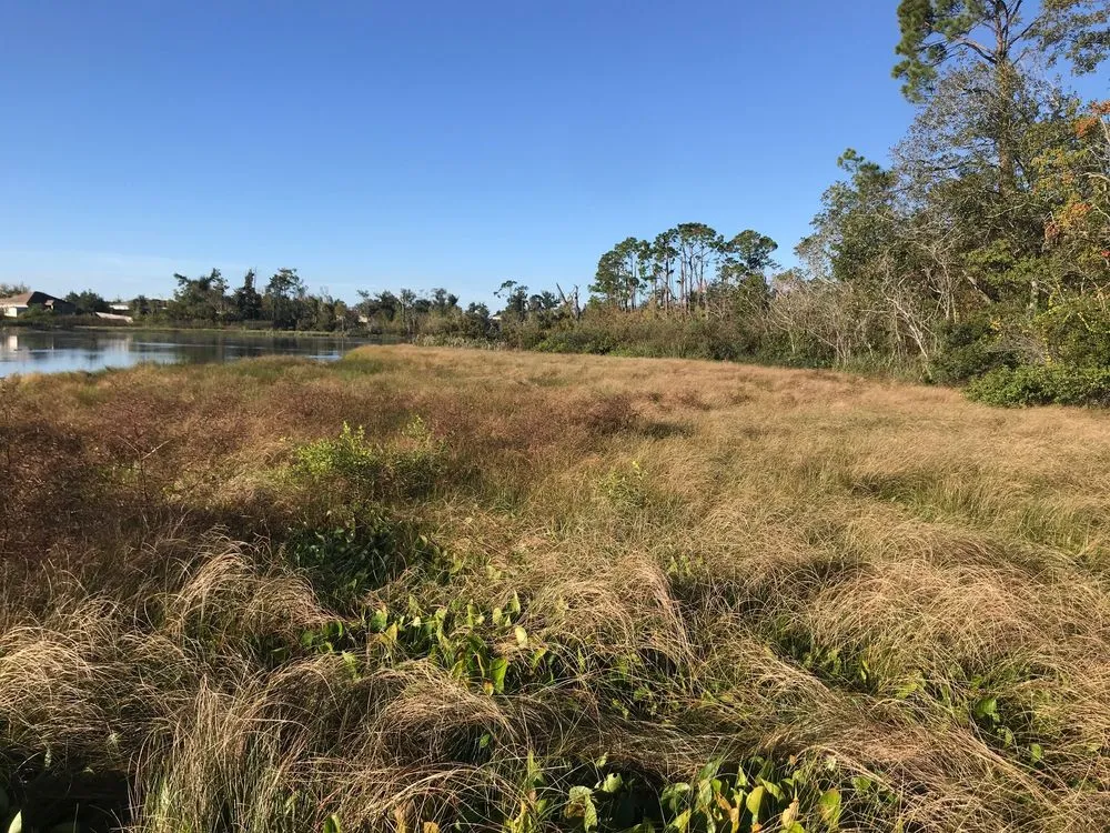 Top-rated landscaping services in DeFuniak Springs, FL - Gator Gotcha Aquatic Plant Control and Pond Management