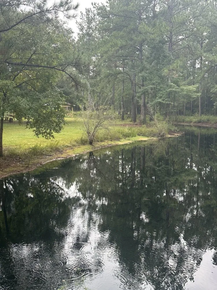 Local landscape design experts serving DeFuniak Springs, FL - Gator Gotcha Aquatic Plant Control and Pond Management