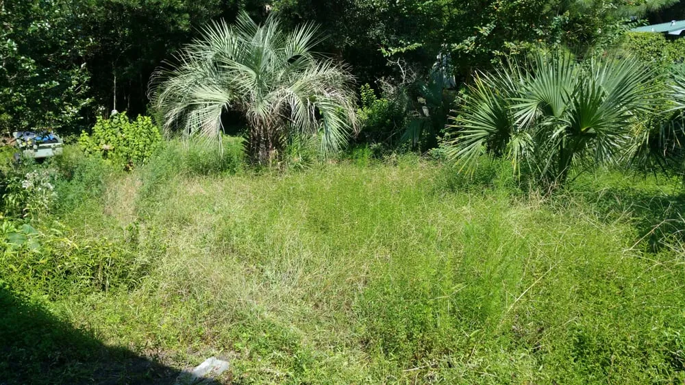 Expert lawn mowing service in Pensacola, FL by Gator Grass