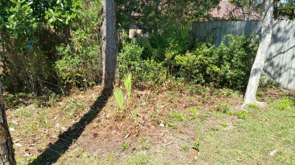 Trusted yard cleanup service for outdoor upgrades across Pensacola, FL - Gator Grass