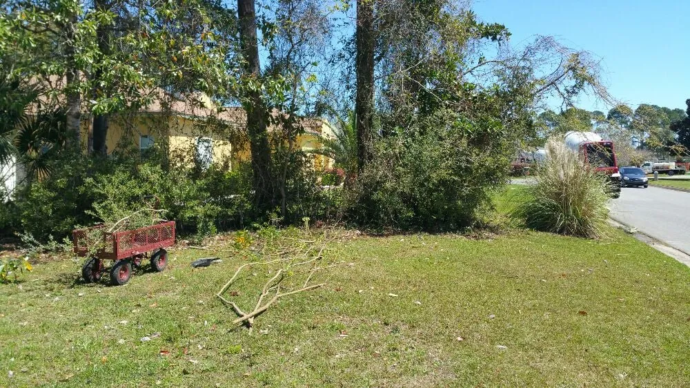 Top-rated landscaping services experts serving Pensacola, FL - Gator Grass