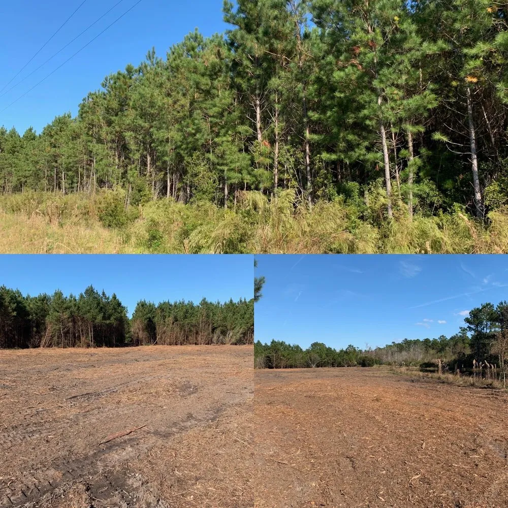 Local lawn care service experts serving Myrtle Beach, SC - Gator Grinding