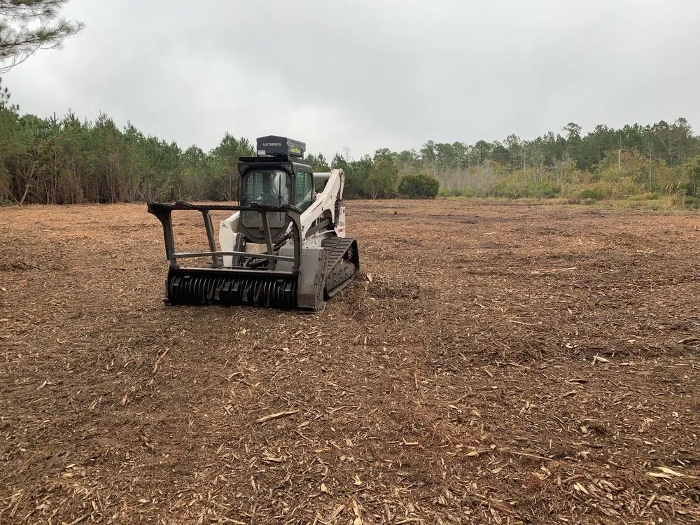Affordable landscape design for beautiful yards across Myrtle Beach, SC - Gator Grinding