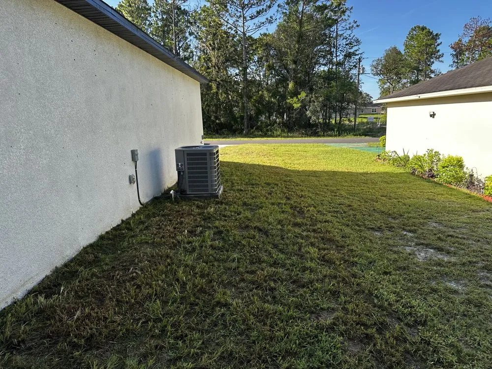 Local yard cleanup service experts serving Summerfield, FL - Gator Ground Services