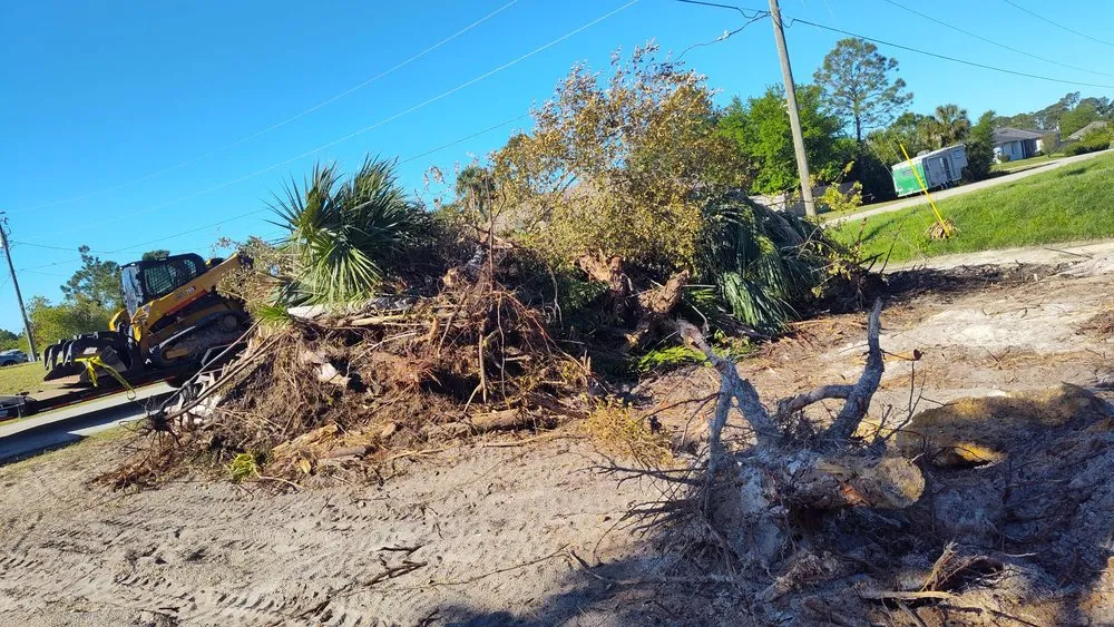 Professional landscaping services for beautiful yards across Summerfield, FL - Gator Ground Services