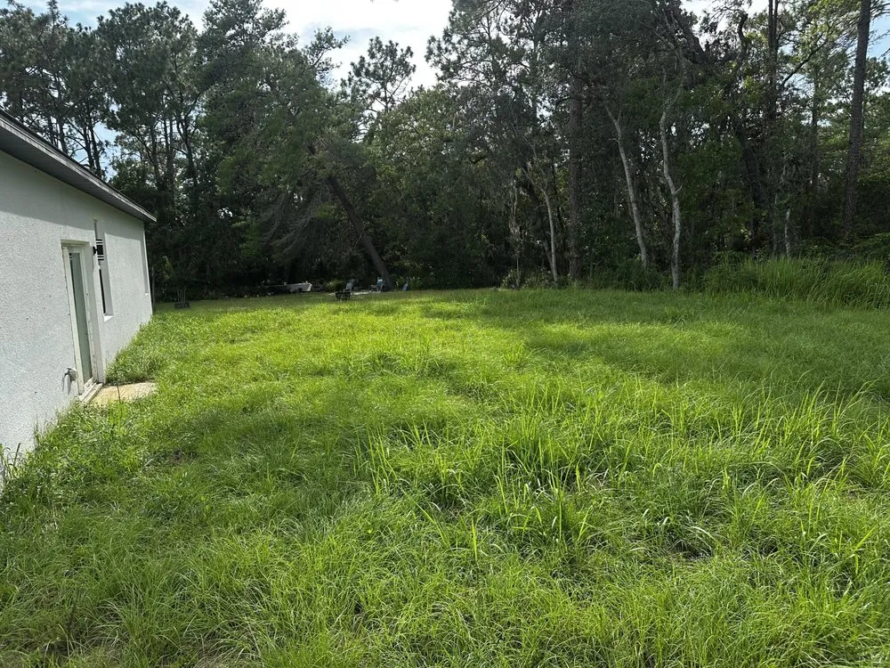 Expert residential landscaping for residential properties across Summerfield, FL - Gator Ground Services