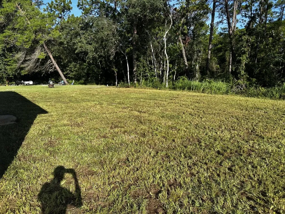 Top-rated residential landscaping in Summerfield, FL by Gator Ground Services