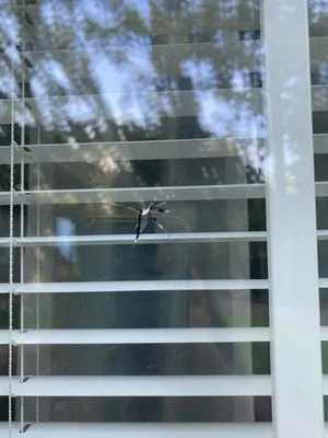 Gator Ground Works Logo