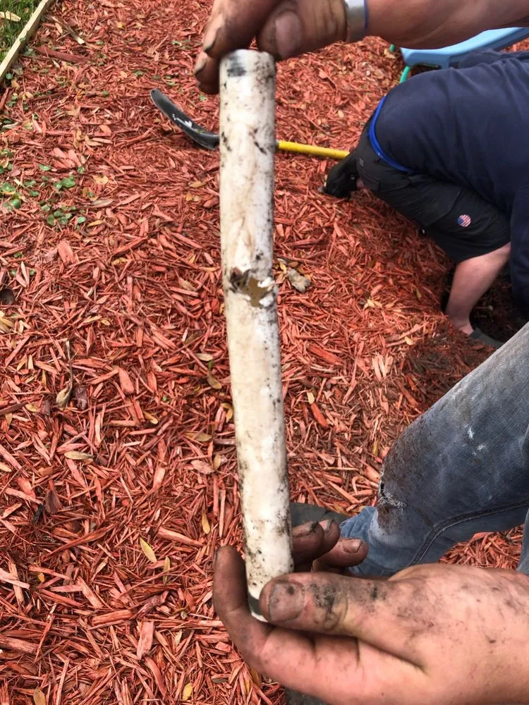 Trusted residential landscaping experts serving Atlantic Beach, FL - Gator Irrigation and Landscaping