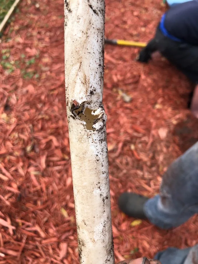 Trusted landscape installation experts serving Atlantic Beach, FL - Gator Irrigation and Landscaping