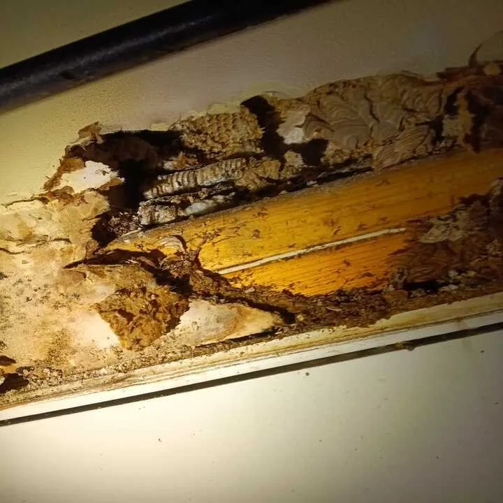 Professional residential landscaping in Jeffersonville, IN by Gator Pest and Turf