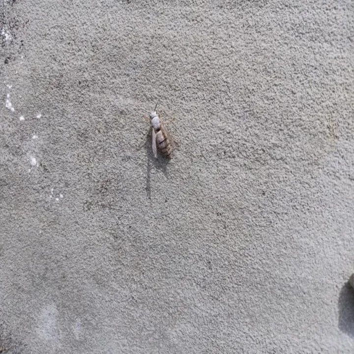 Expert landscape installation in Jeffersonville, IN by Gator Pest and Turf