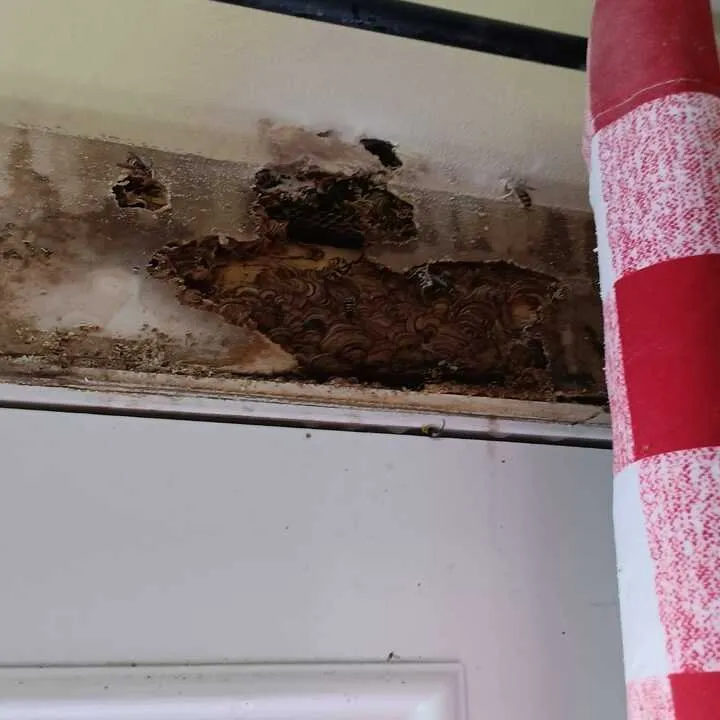 Local garden landscaping for year-round maintenance across Jeffersonville, IN - Gator Pest and Turf