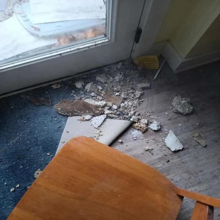 Custom residential landscaping for homes in Jeffersonville, IN by Gator Pest and Turf