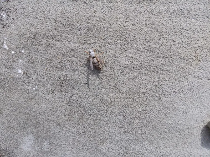 Expert garden landscaping with custom design across Jeffersonville, IN - Gator Pest and Turf