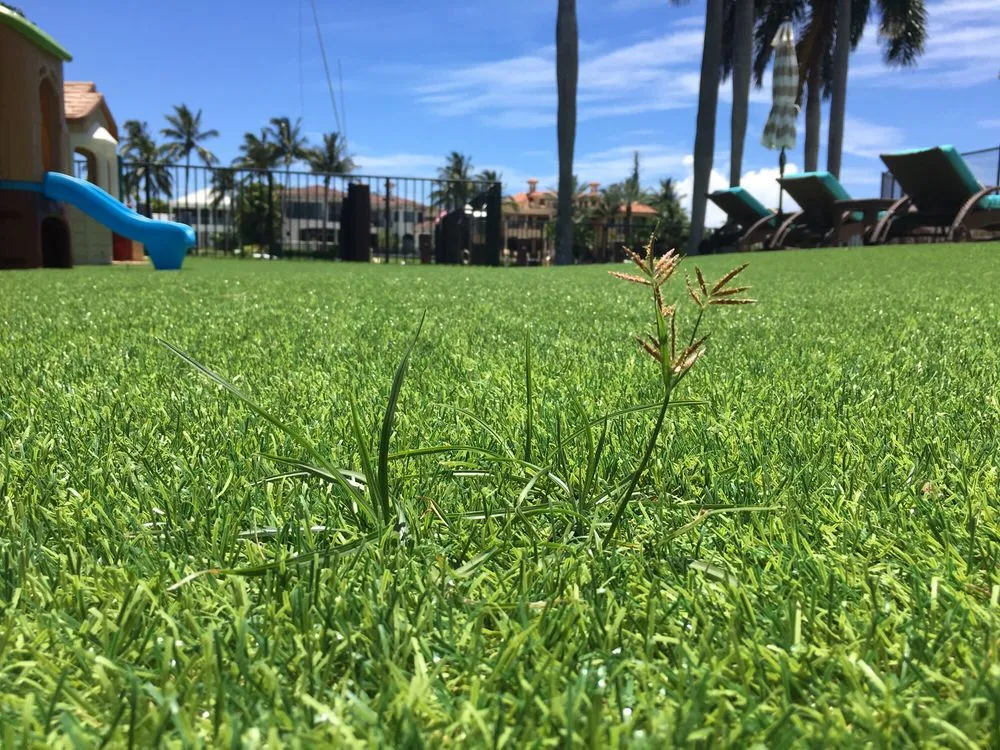 Professional garden landscaping experts serving Boca Raton, FL - Gator Turf