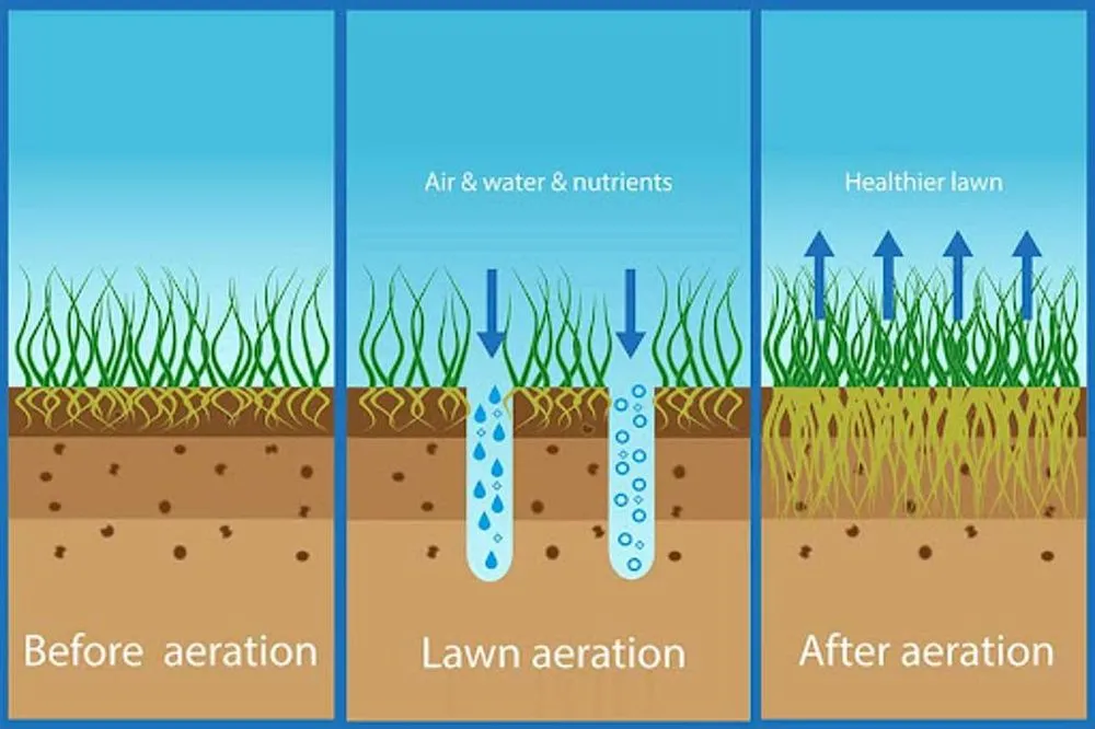 Local yard maintenance for residential properties in Crestview, FL by Gatorbait Landscape