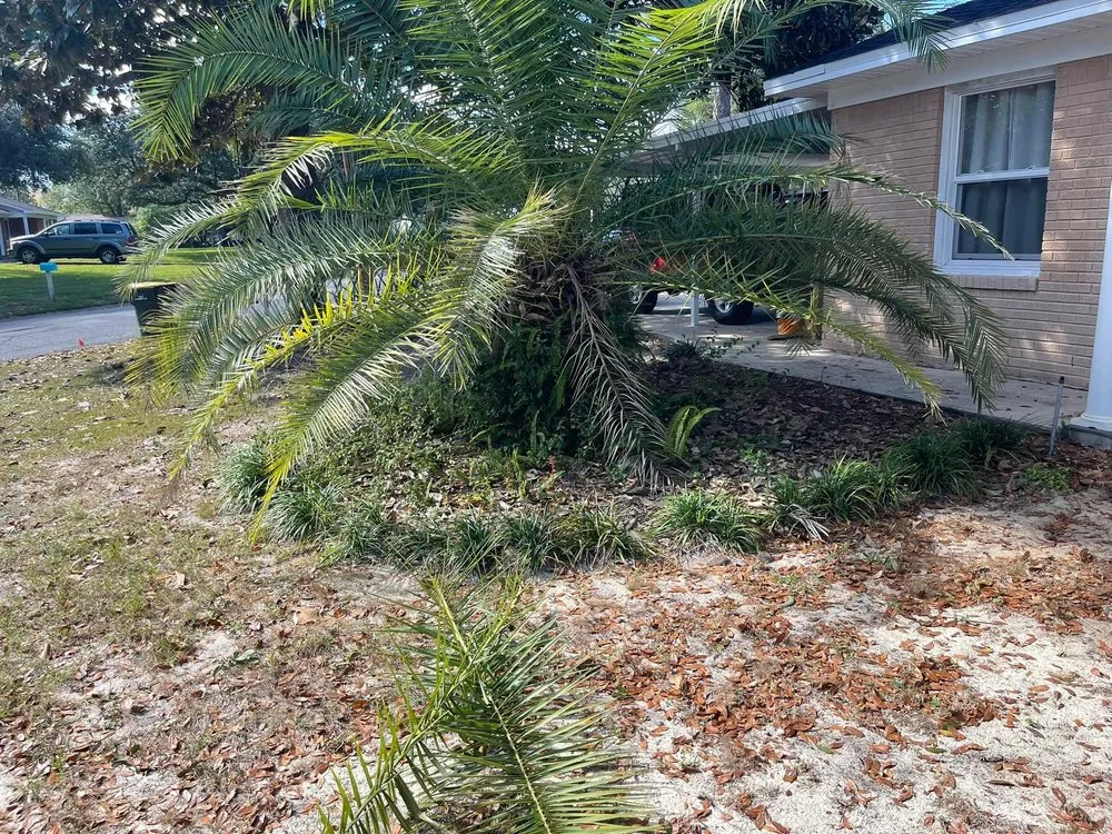 Custom outdoor landscaping in Crestview, FL - Gatorbait Landscape