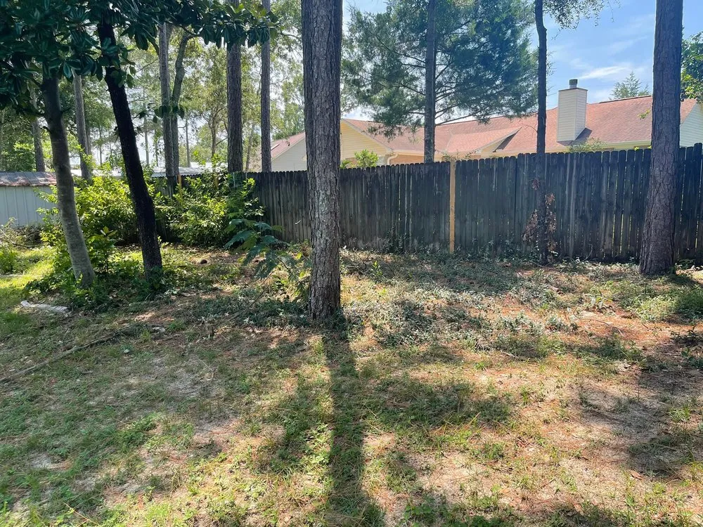 Top-rated landscaping services experts serving Crestview, FL - Gatorbait Landscape