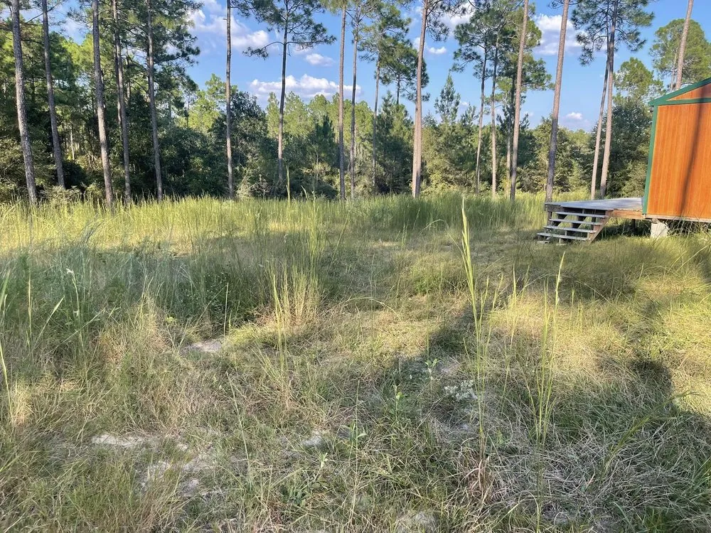 Affordable lawn care service experts serving Crestview, FL - Gatorbait Landscape