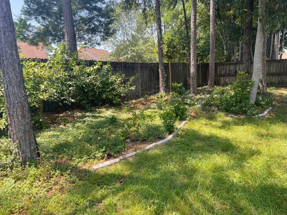 Trusted outdoor landscaping in Crestview, FL - Gatorbait Landscape