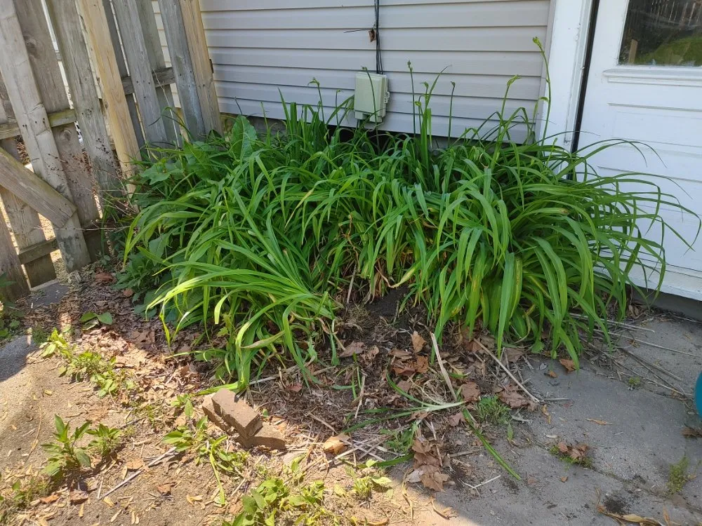 Local lawn care service in Wauseon, OH - Gator's Grass & Gardens