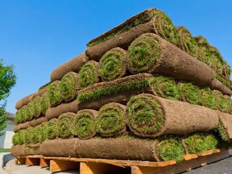 Local landscape installation experts serving Springfield, OR - Gator's Landscape Maintenance