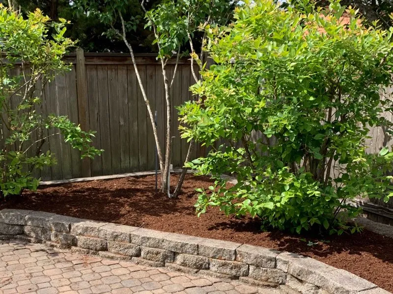 Affordable landscaping services in Springfield, OR by Gator's Landscape Maintenance
