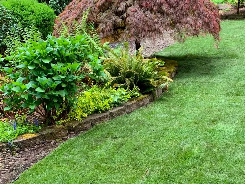 Reliable residential landscaping in Springfield, OR - Gator's Landscape Maintenance
