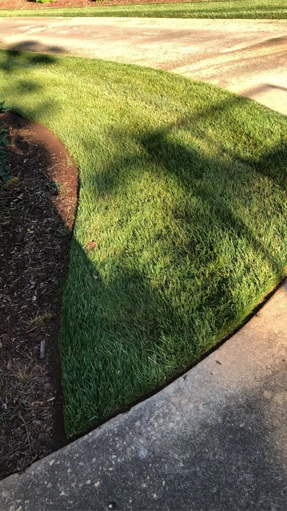 Affordable yard cleanup service in Baton Rouge, LA by Gator’s Landscaping