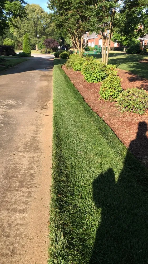 Expert yard cleanup service in Baton Rouge, LA by Gator’s Landscaping