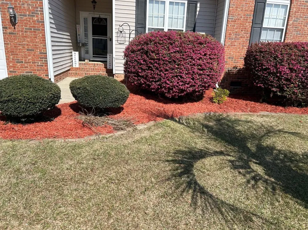 Expert landscaping services for beautiful yards across Lexington, SC - Gators Lawn & Landscape