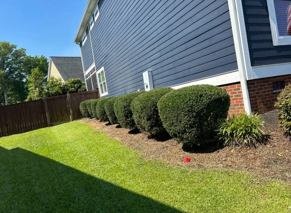 Top-rated lawn care service experts serving Lexington, SC - Gators Lawn & Landscape