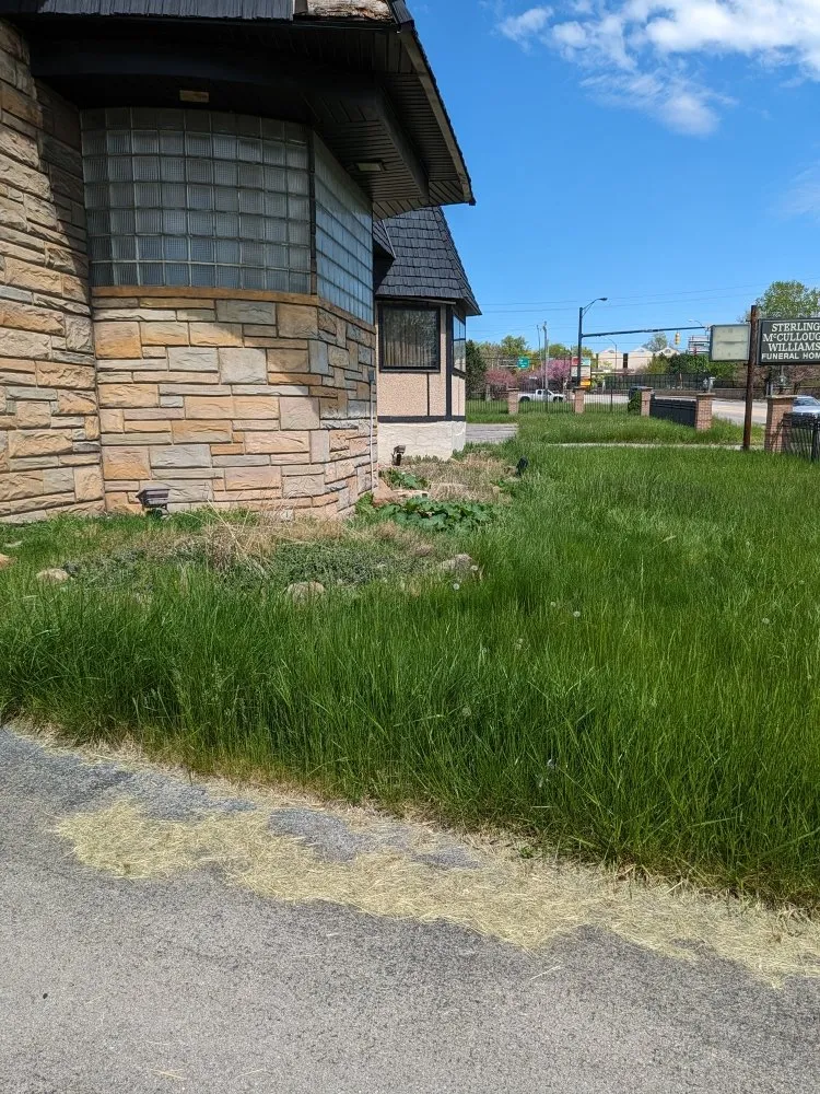 Custom yard cleanup service in Warren, OH - Gator's Lawn Care Services