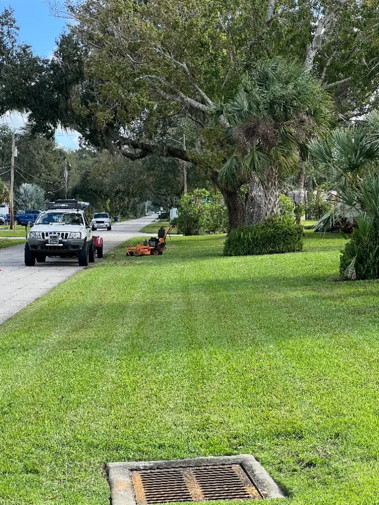 Professional landscape installation in Port Orange, FL - Gatortail Turf