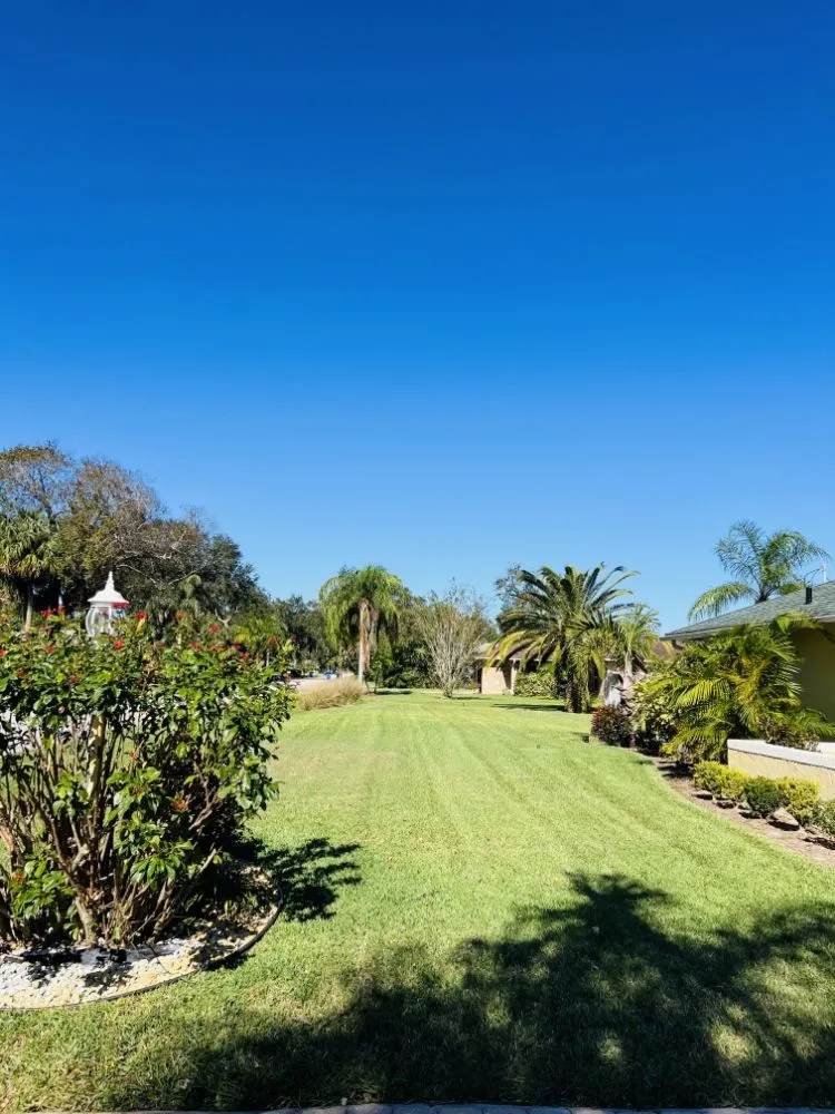 Custom lawn care service for residential properties across Port Orange, FL - Gatortail Turf