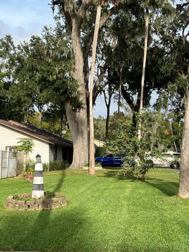 Expert lawn care service with custom design across Port Orange, FL - Gatortail Turf