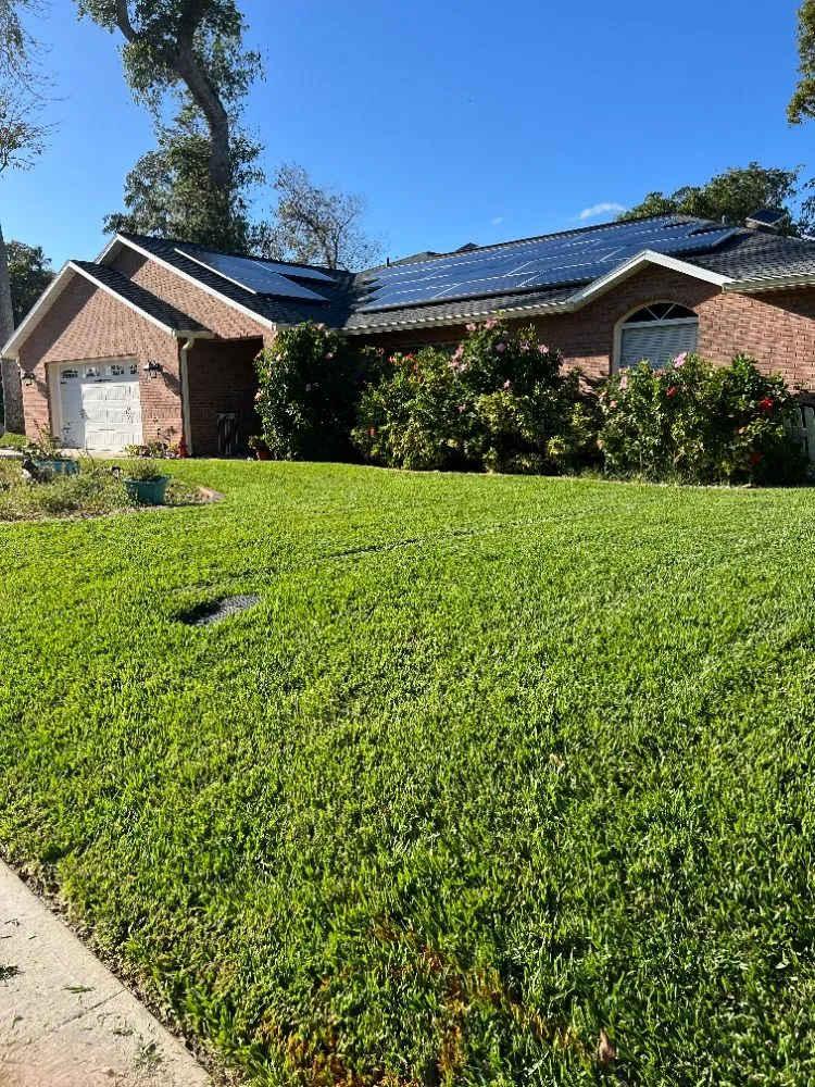 Top-rated landscape design for beautiful yards across Port Orange, FL - Gatortail Turf