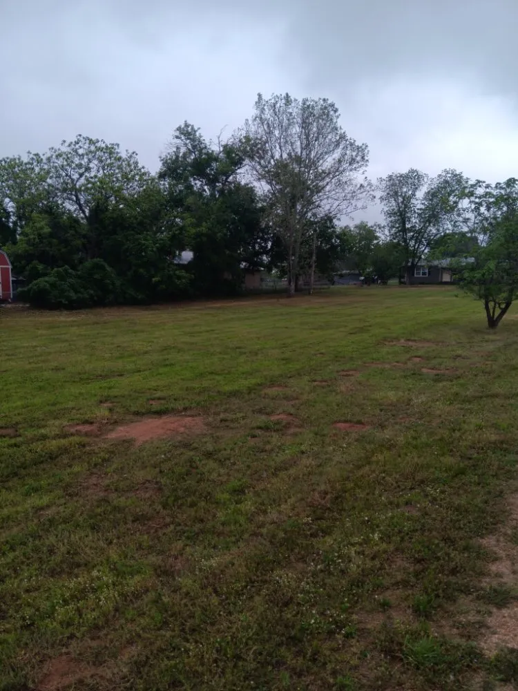 Local lawn care service experts serving Fredericksburg, TX - Gatos Landscaping