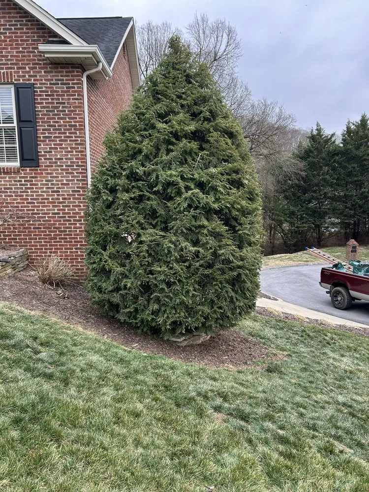 Local yard cleanup service with custom design in Bluff City, TN by Gatrell Landscape And Tree Removal
